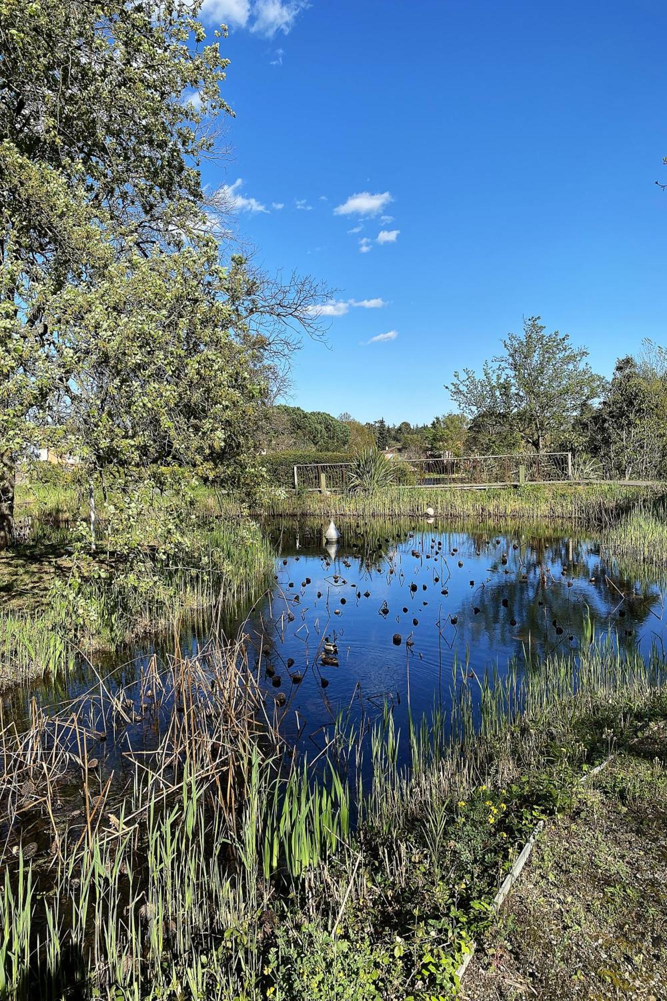 Les Bastides 3124 Villa Grimaud Bagian luar foto