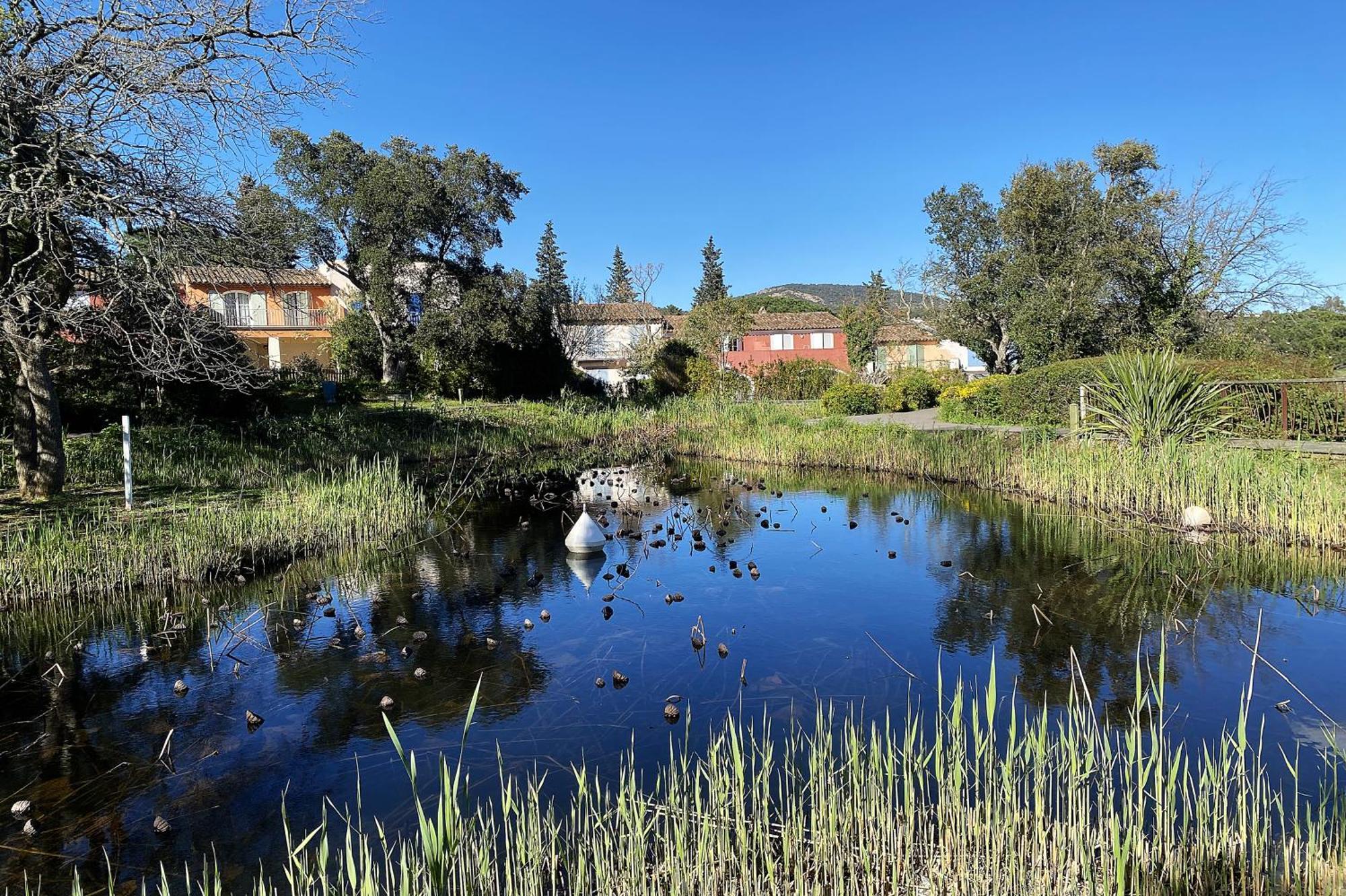 Les Bastides 3124 Villa Grimaud Bagian luar foto